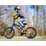 Kent Bicycle 18 In. Rampage Boy's Bike, Gold and Black