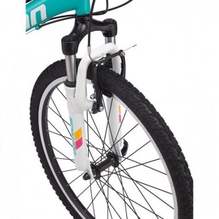 Schwinn High Timber Girls Mountain Bike, Teal